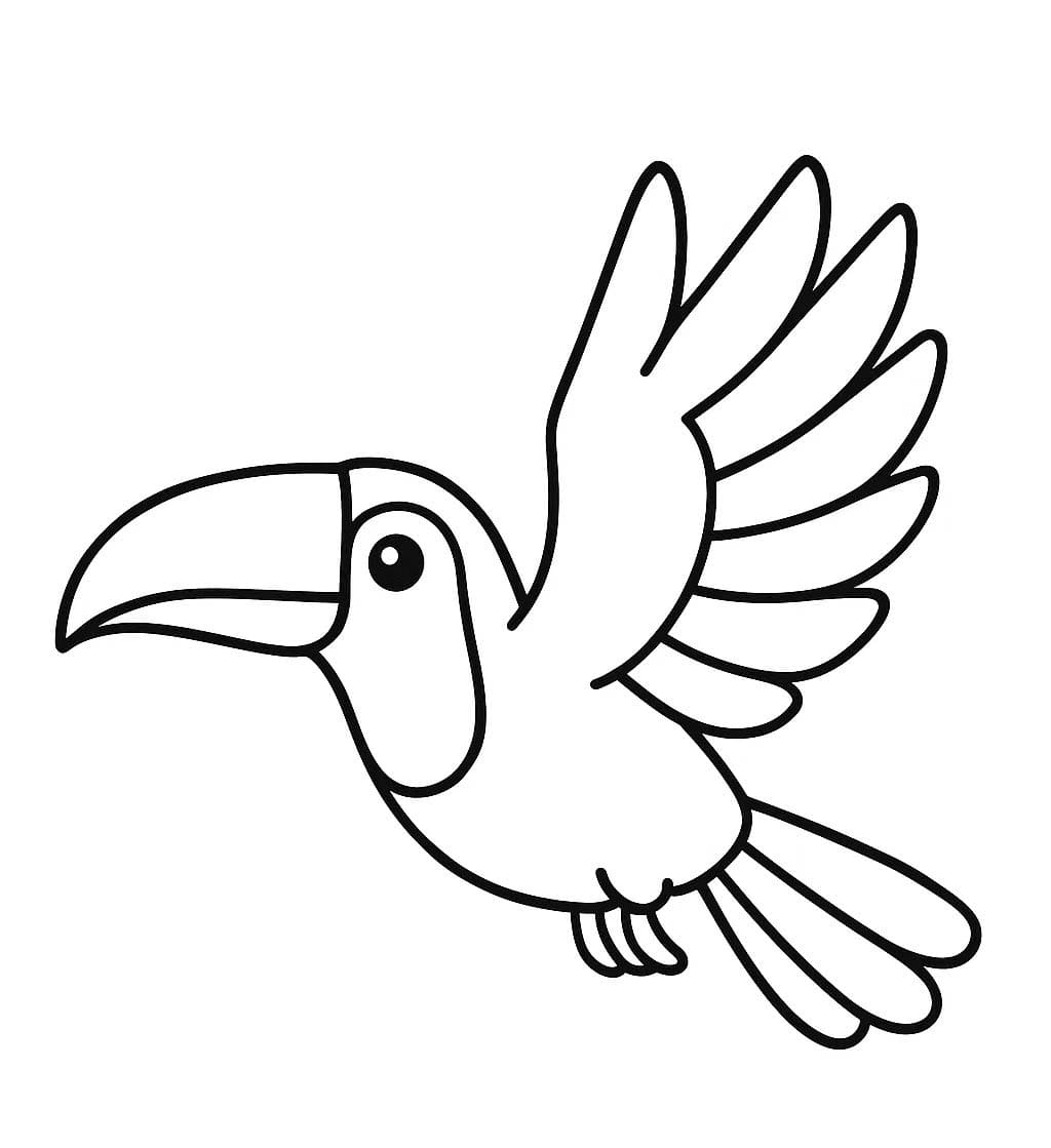 Kolorowanka Tukan bezpłatny podstawowy