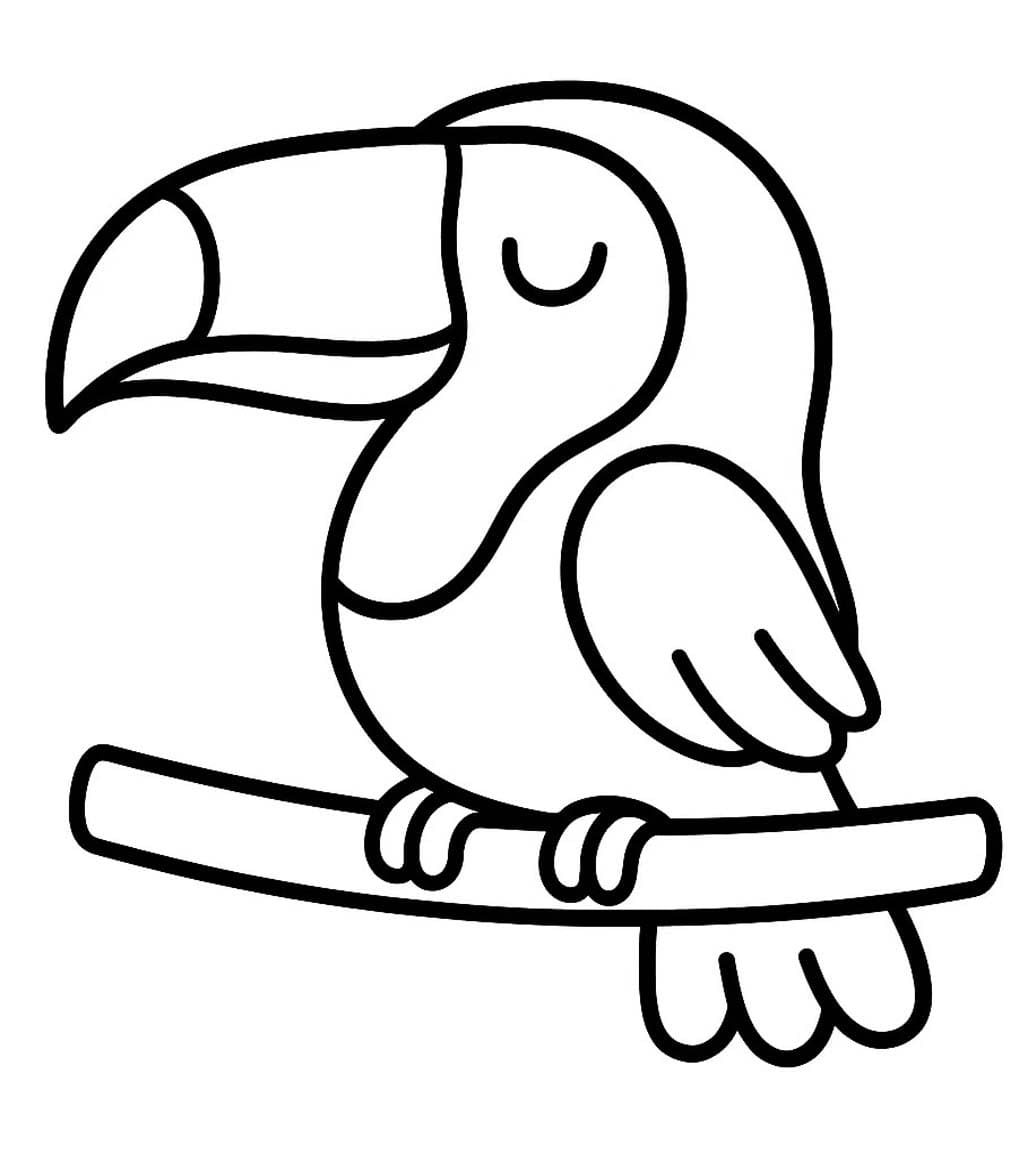 Kolorowanka Tukan bezpłatny wydruku podstawowy