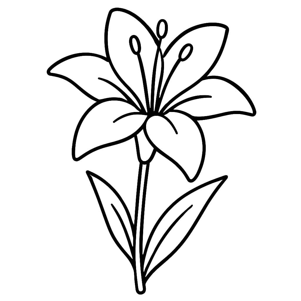 Kolorowanka Lilie wydruku łatwy