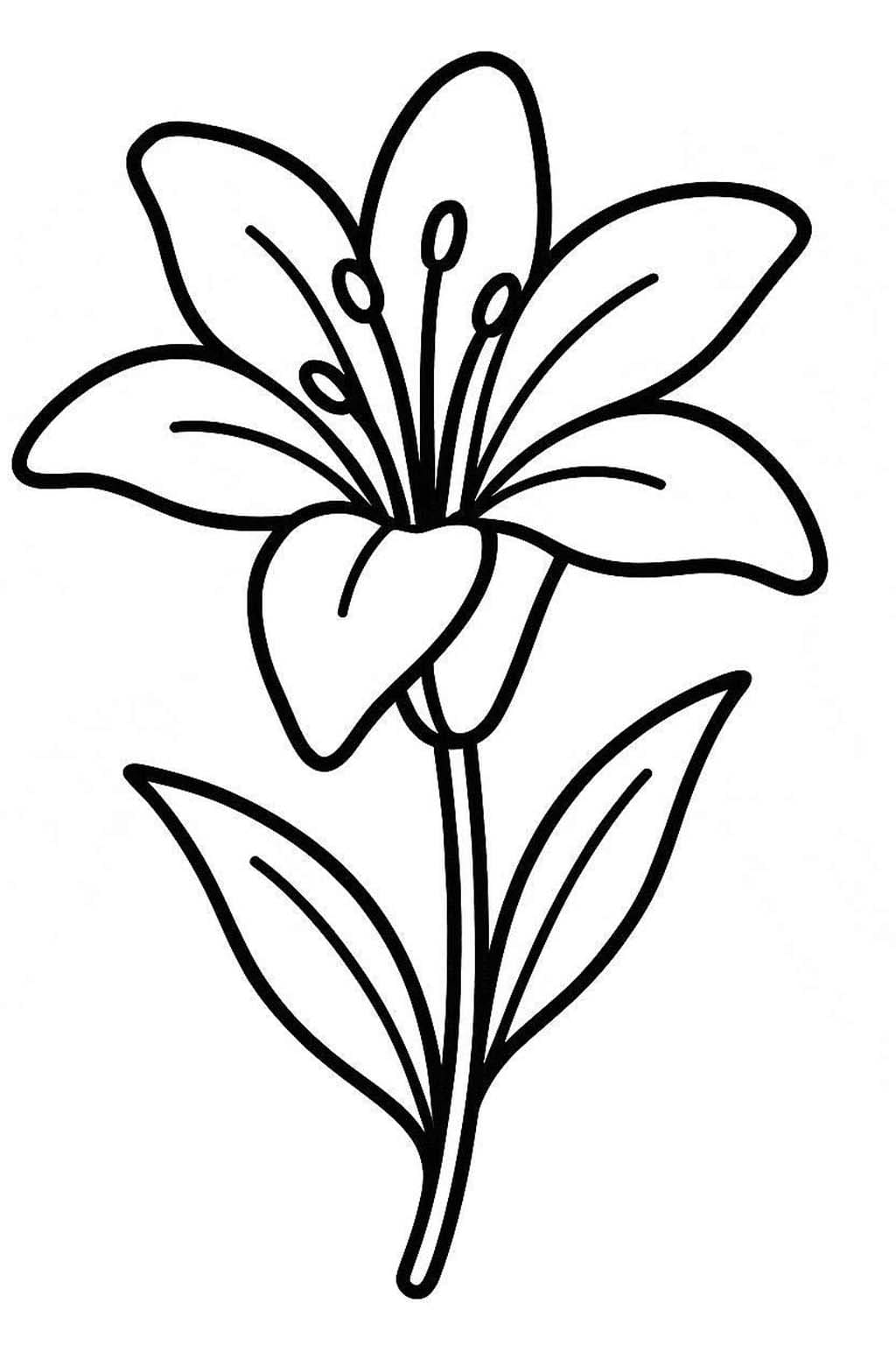 Kolorowanka Narysuj Lilie bezpłatny wydruku