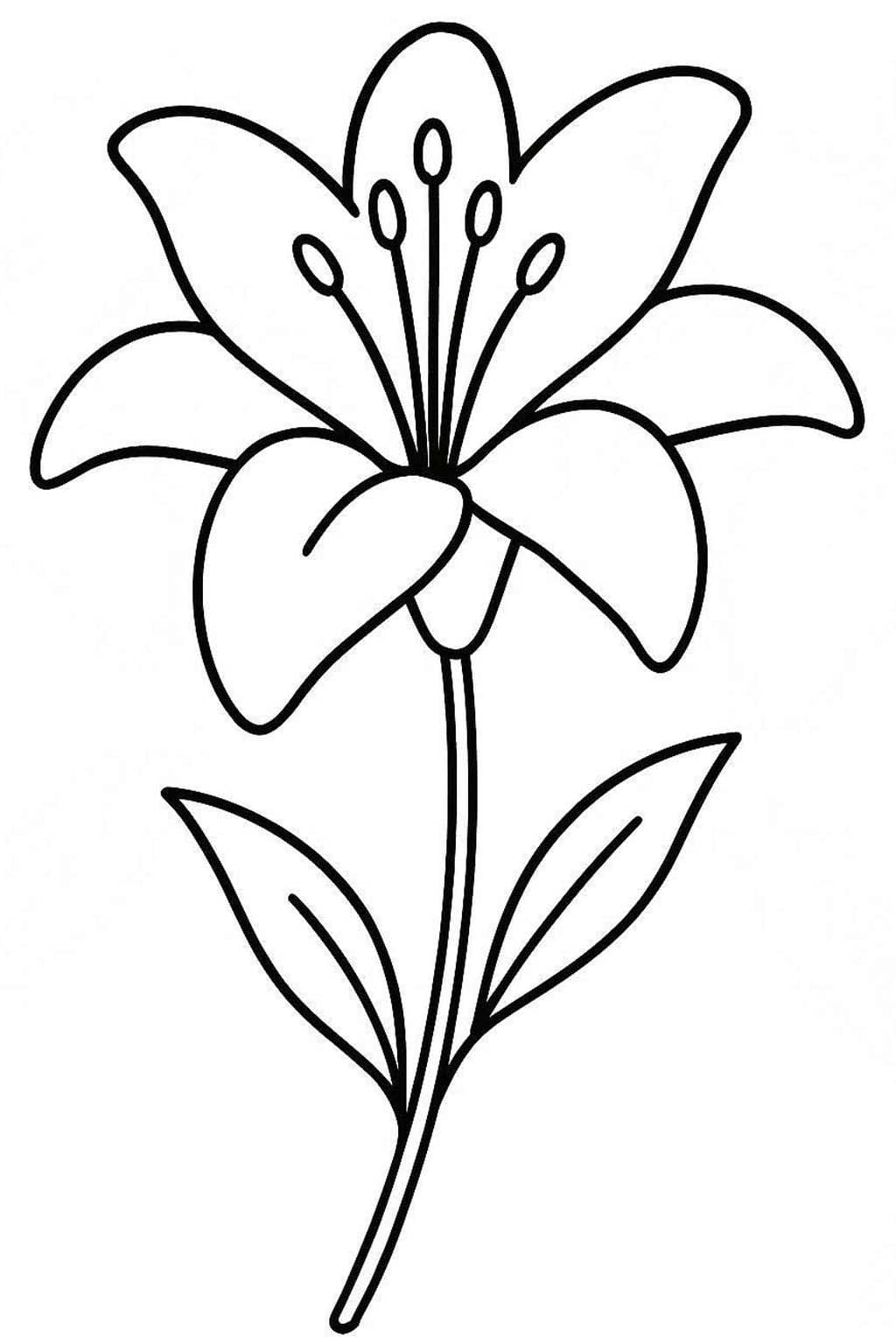 Kolorowanka Narysuj Lilie wydruku prosty