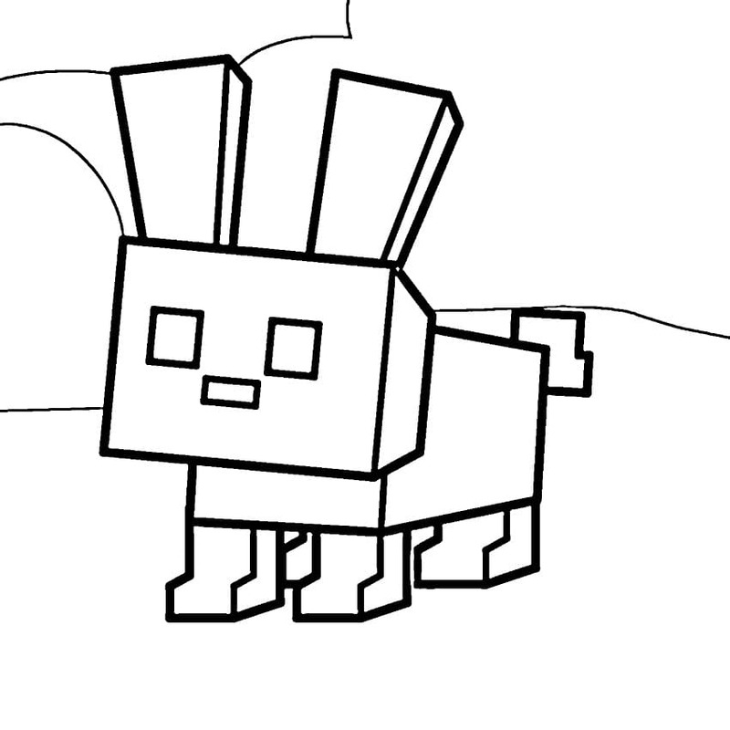 Kolorowanka 99 nocy w lesie dla dzieci