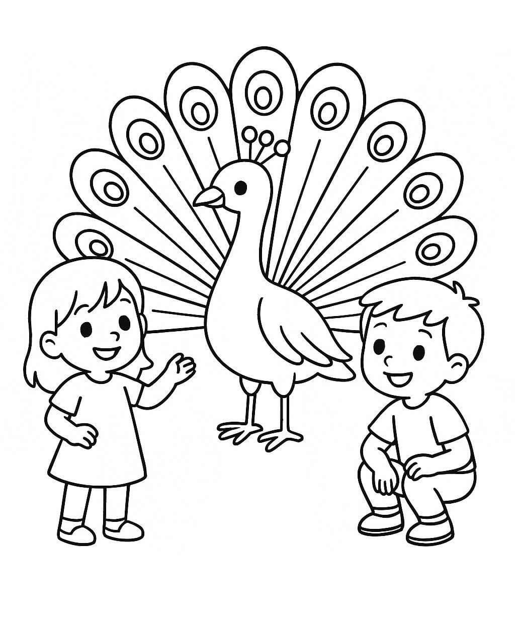 Kolorowanka Narysuj Paw bezpłatny łatwy