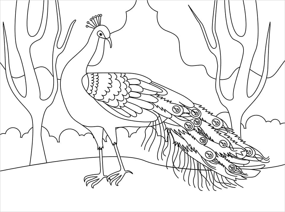 Kolorowanka Narysuj Paw bezpłatny