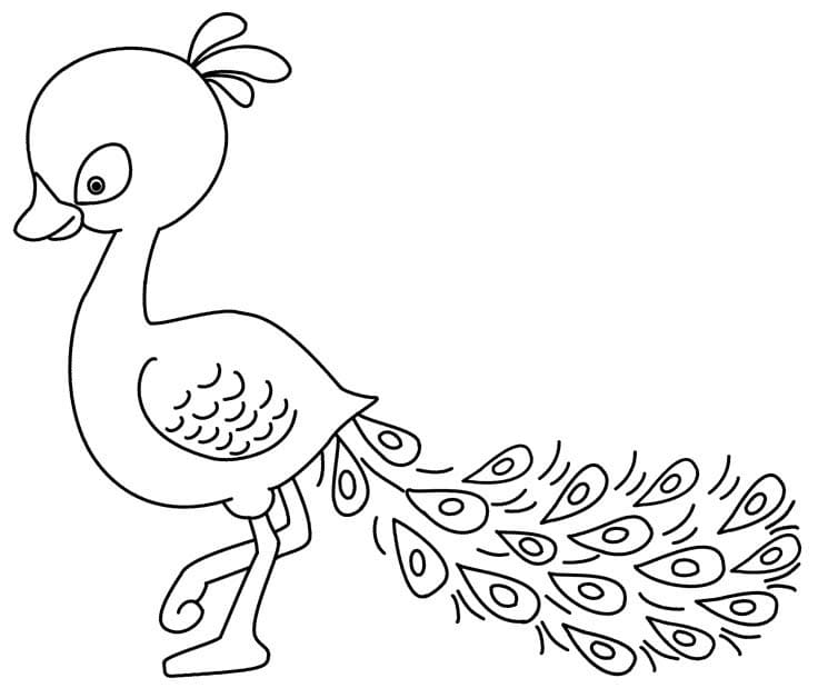 Kolorowanka Narysuj Paw wydruku dla dzieci