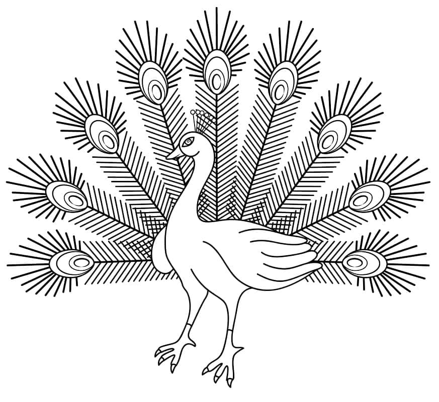 Kolorowanka Paw bezpłatny