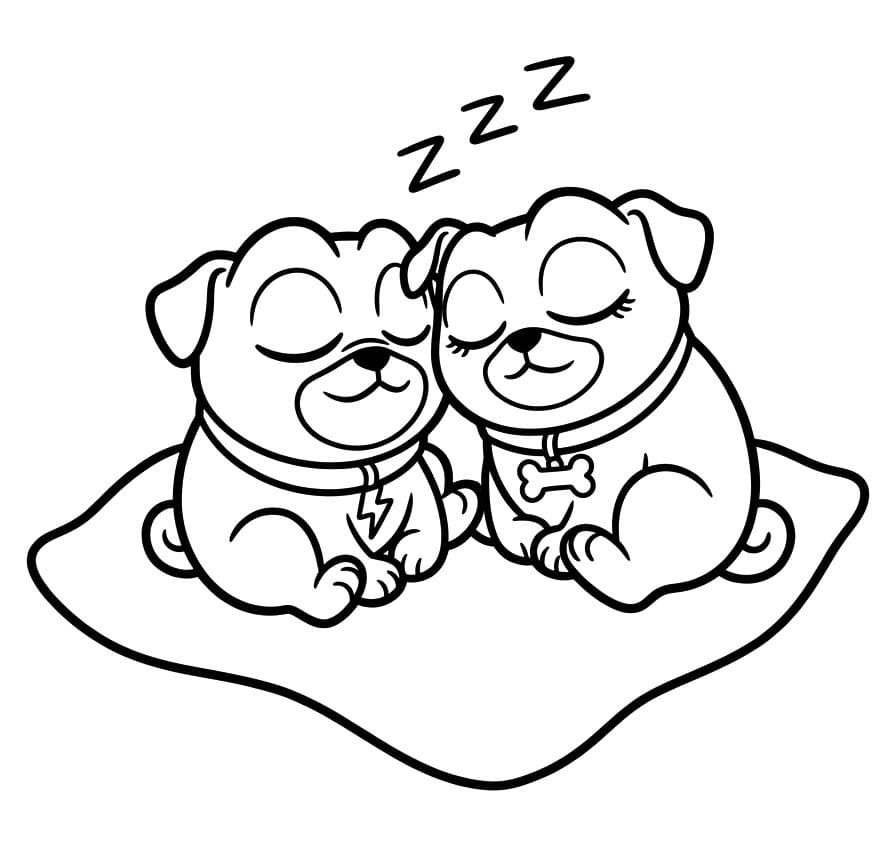 Kolorowanka Bingo i Rolly w akcji bezpłatny prosty