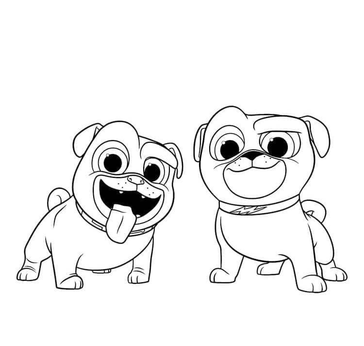 Kolorowanka Bingo i Rolly w akcji bezpłatny wydruku dla dzieci