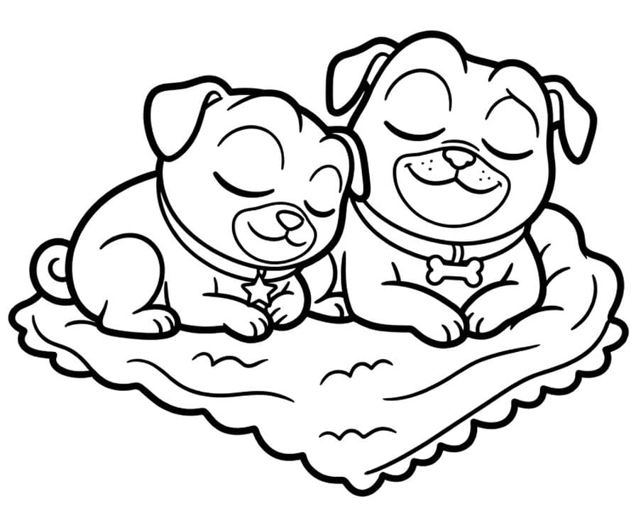 Kolorowanka Bingo i Rolly w akcji bezpłatny wydruku prosty