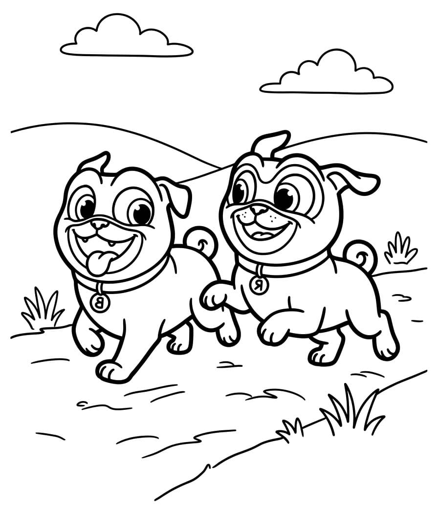 Kolorowanka Bingo i Rolly w akcji wydruku łatwy