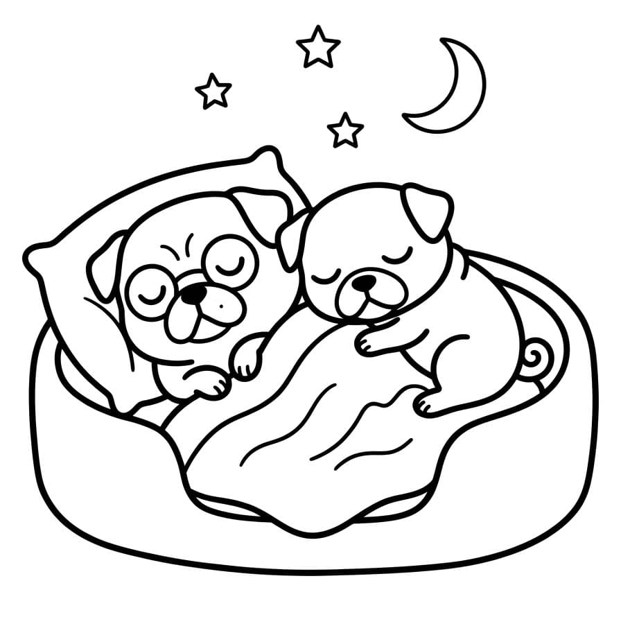 Kolorowanka Bingo i Rolly w akcji wydruku prosty