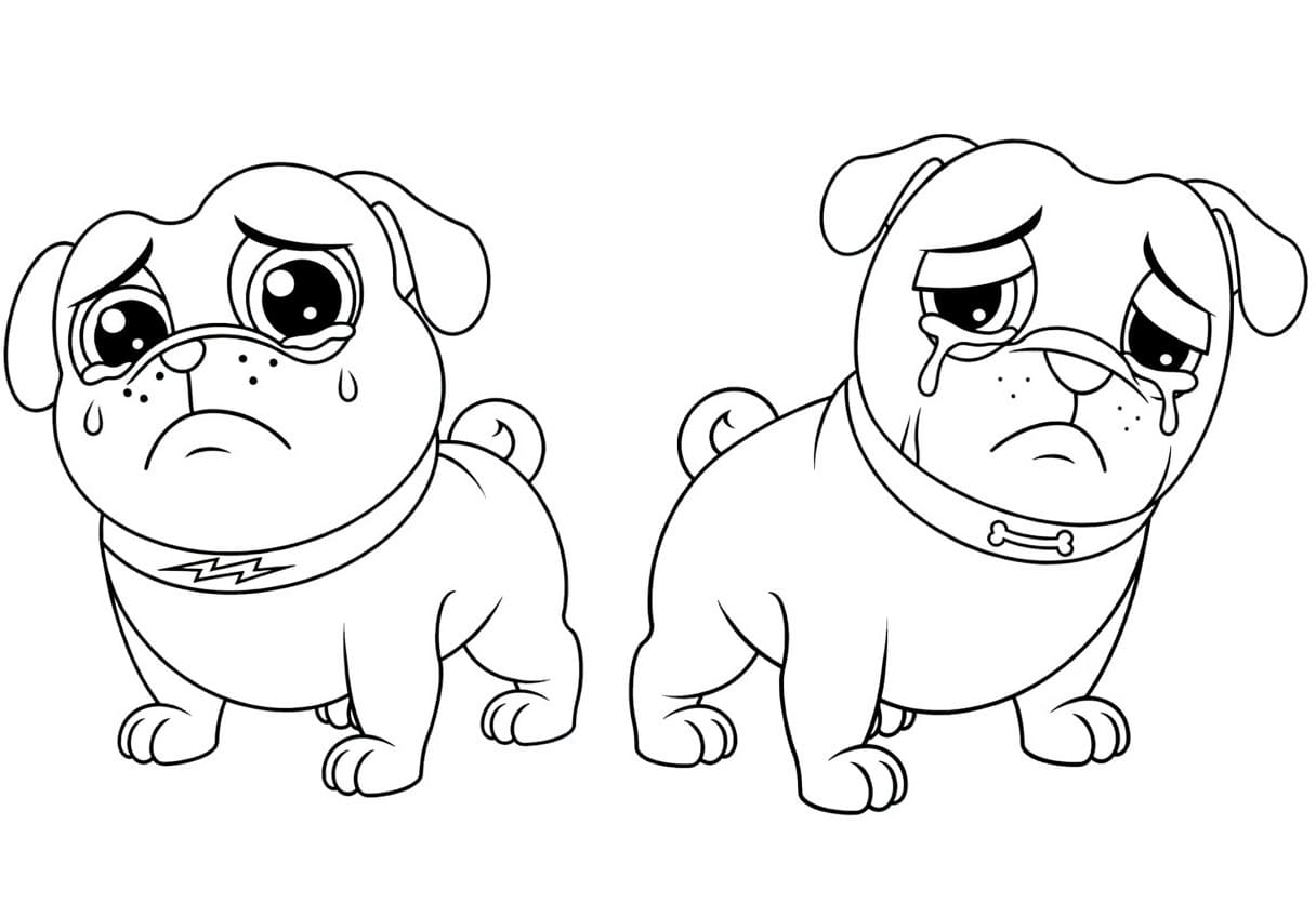 Kolorowanka Narysuj Bingo i Rolly w akcji