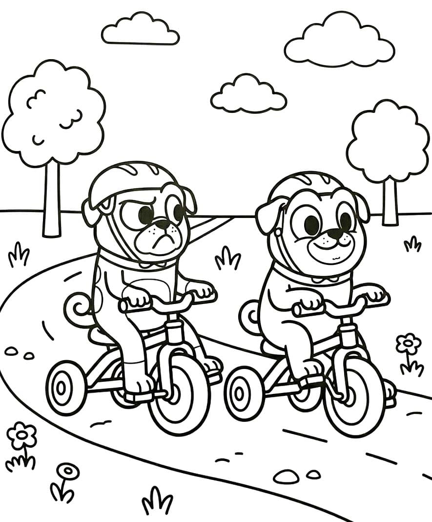 Kolorowanka Obraz Bingo i Rolly w akcji bezpłatny wydruku