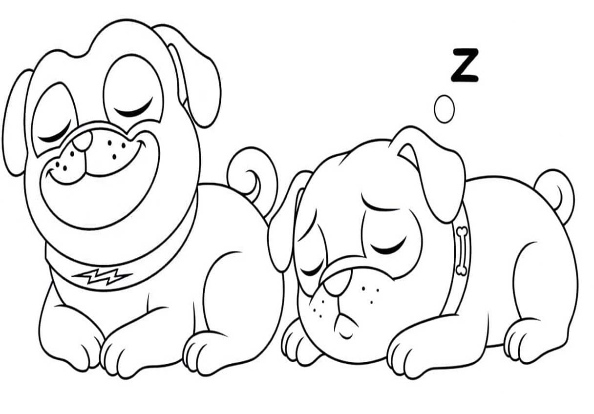 Kolorowanka Obraz Bingo i Rolly w akcji do druku