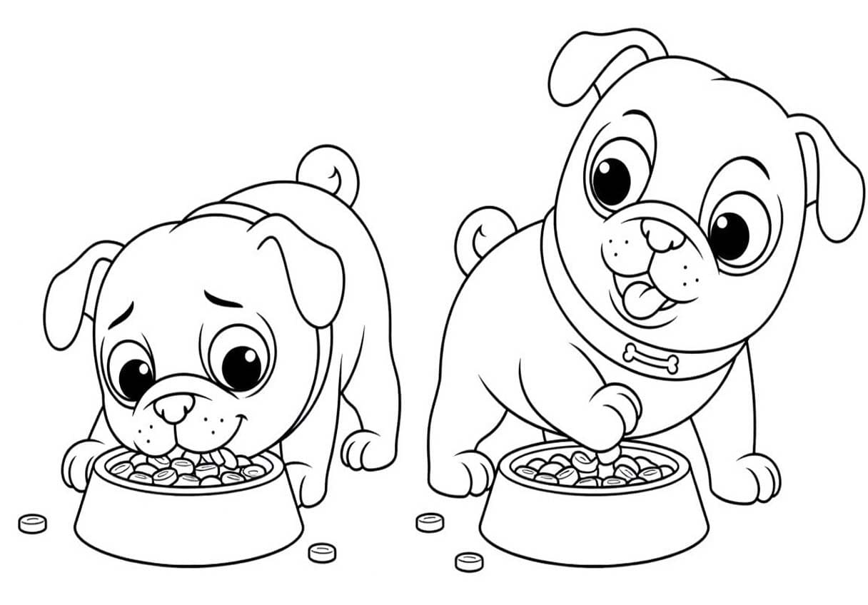 Kolorowanka Obraz Bingo i Rolly w akcji wydruku