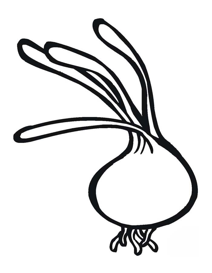 Kolorowanka Cebula dla dzieci