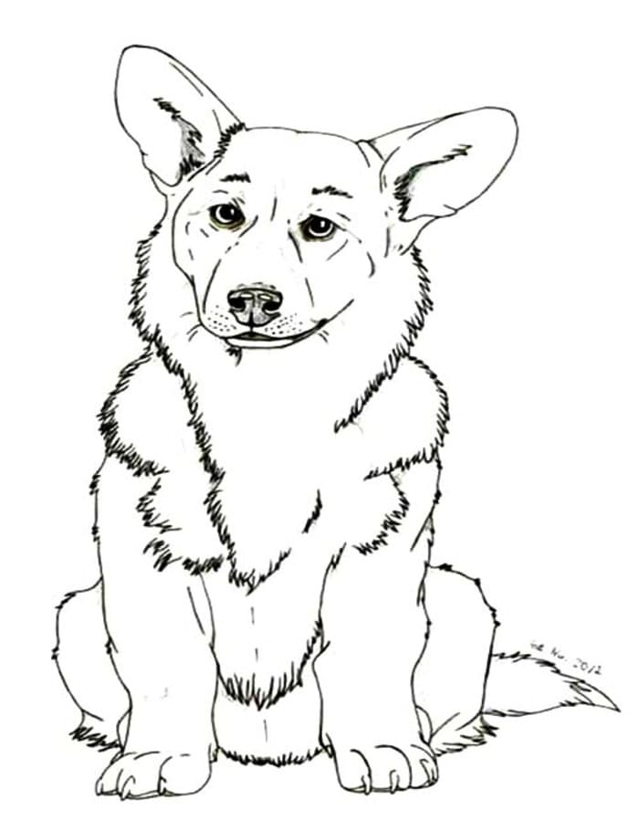 Kolorowanka Corgi bezpłatny wydruku podstawowy