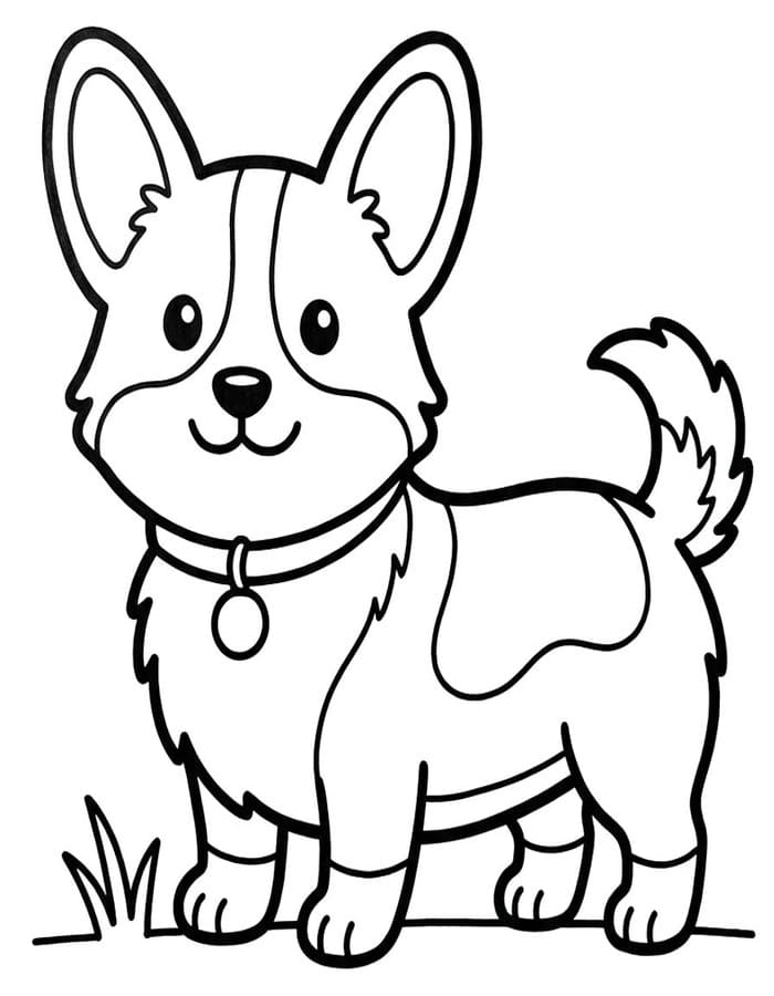 Kolorowanka Corgi dla dzieci