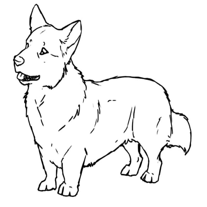 Kolorowanka Corgi wydruku podstawowy