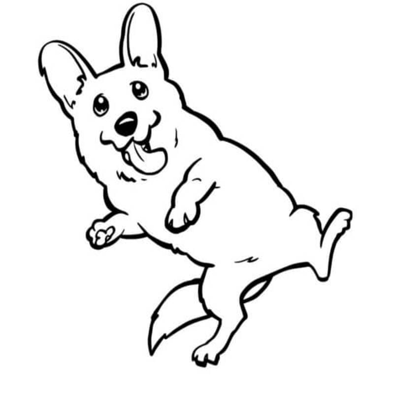 Kolorowanka Corgi wydruku prosty