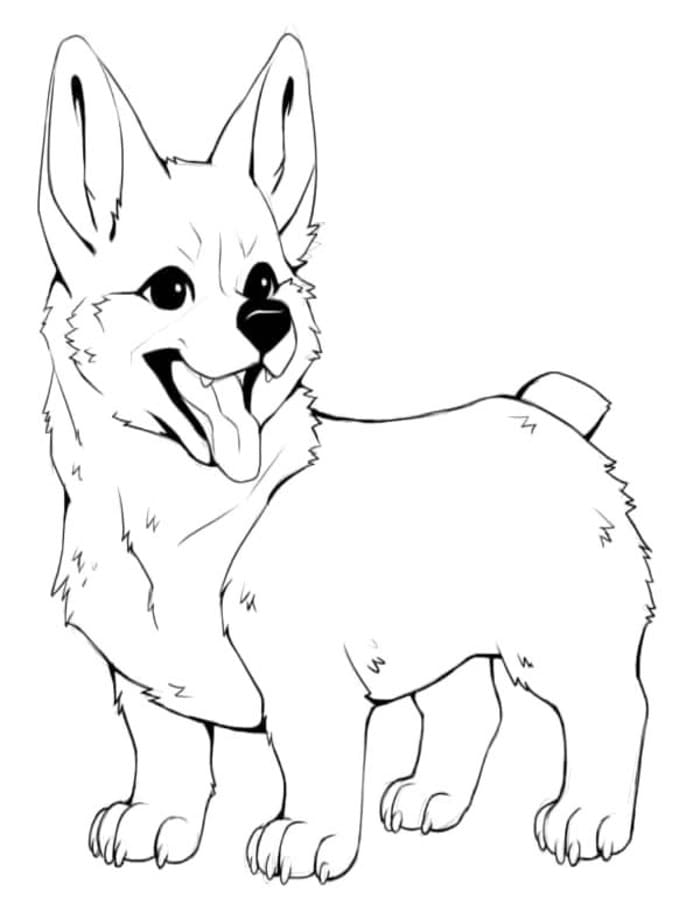Kolorowanka Corgi wydruku
