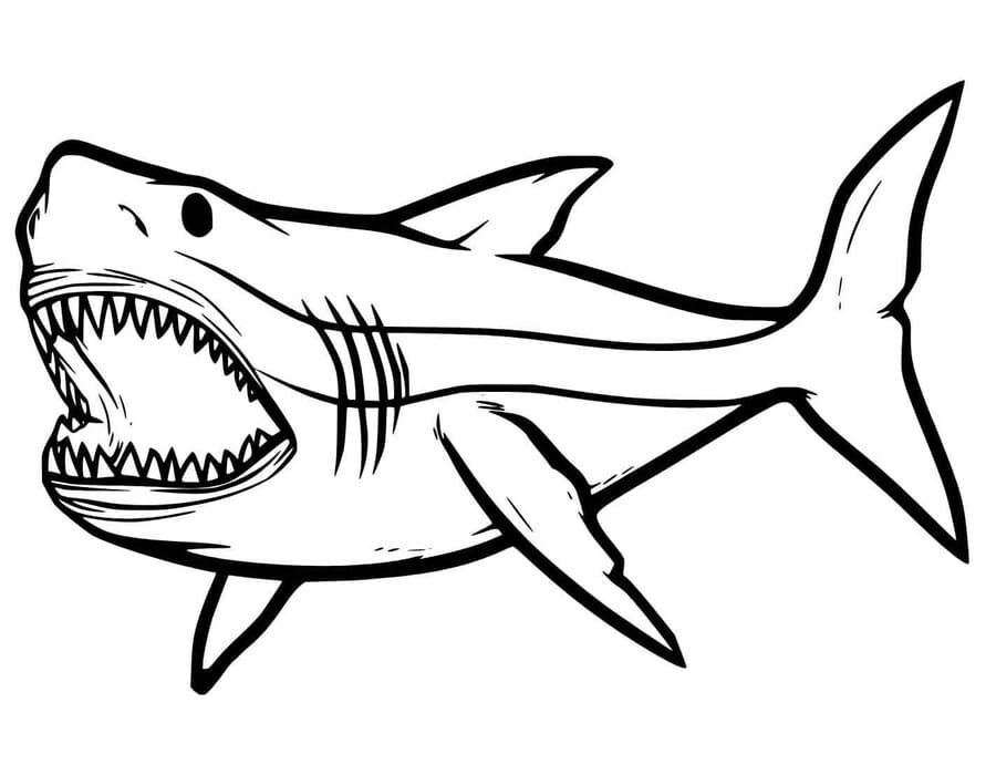 Kolorowanka Megalodon bezpłatny wydruku prosty