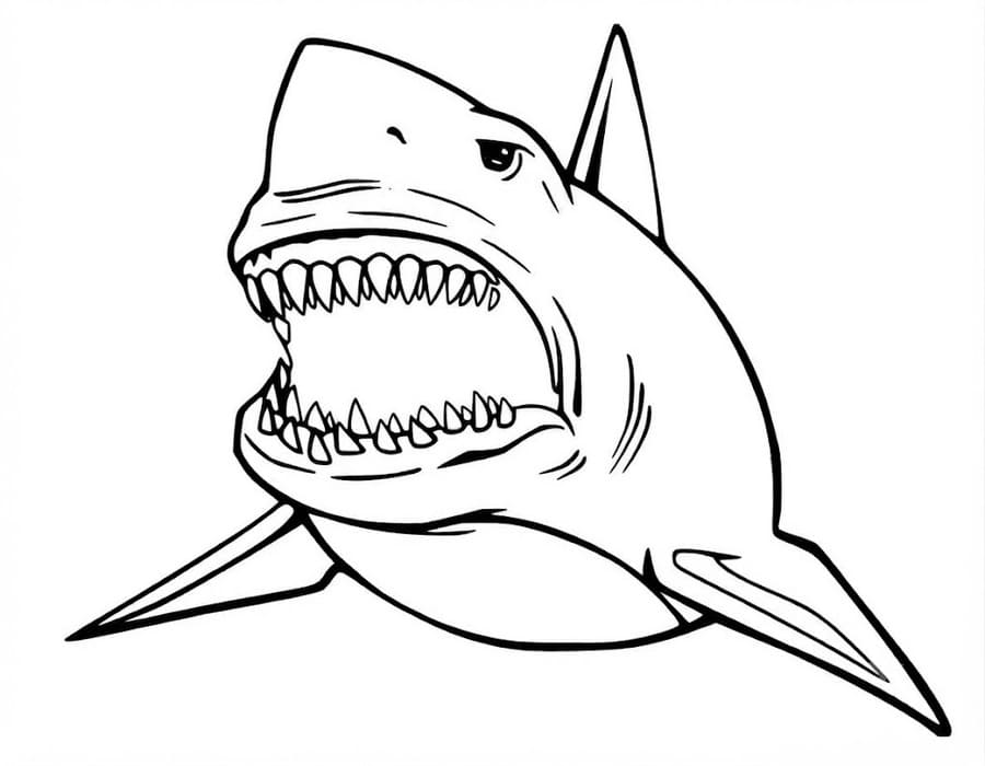 Kolorowanka Megalodon bezpłatny