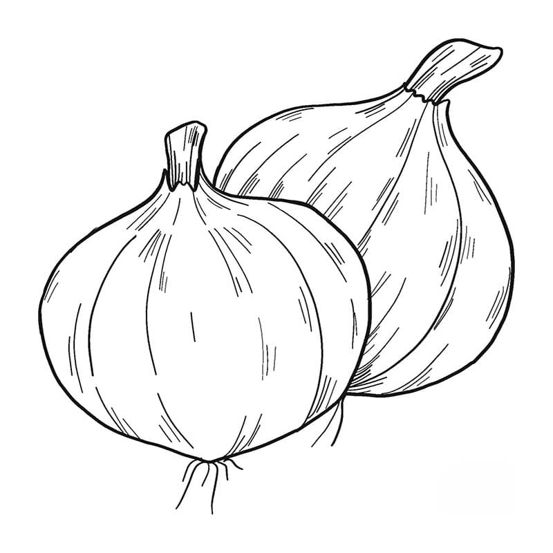 Kolorowanki Cebula