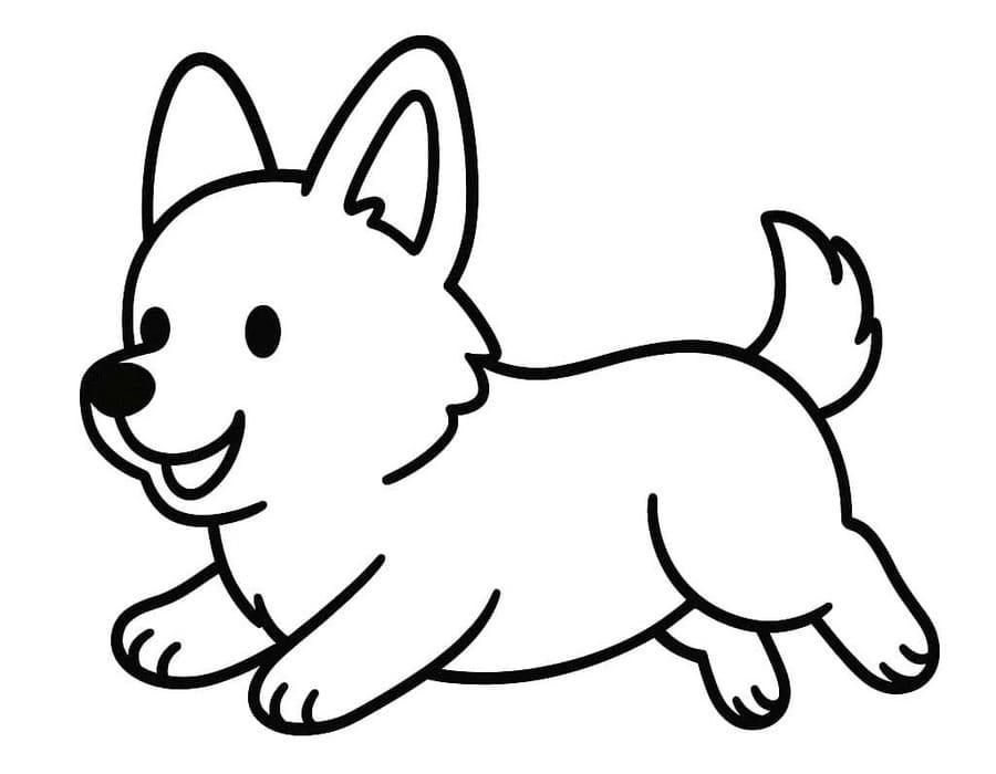Kolorowanka Narysuj Corgi bezpłatny łatwy