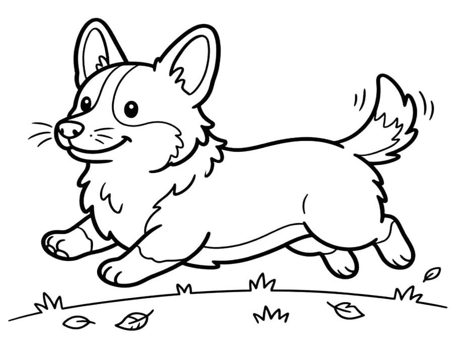 Kolorowanka Narysuj Corgi bezpłatny wydruku podstawowy