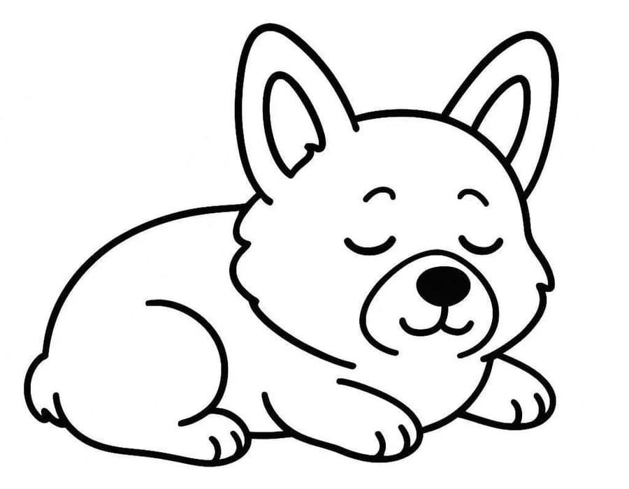 Kolorowanki Corgi