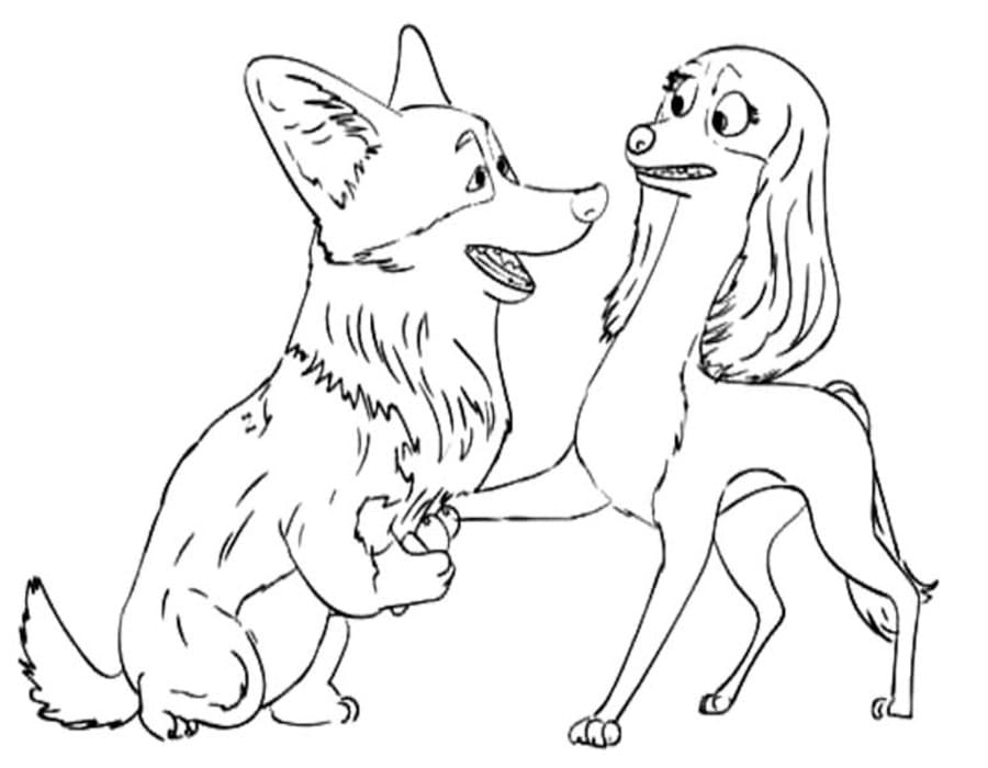 Kolorowanka Narysuj Corgi podstawowy