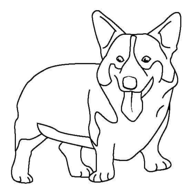 Kolorowanka Narysuj Corgi wydruku dla dzieci