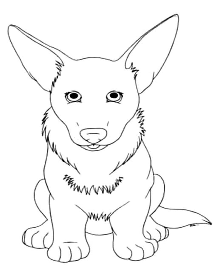 Kolorowanka Narysuj Corgi wydruku łatwy