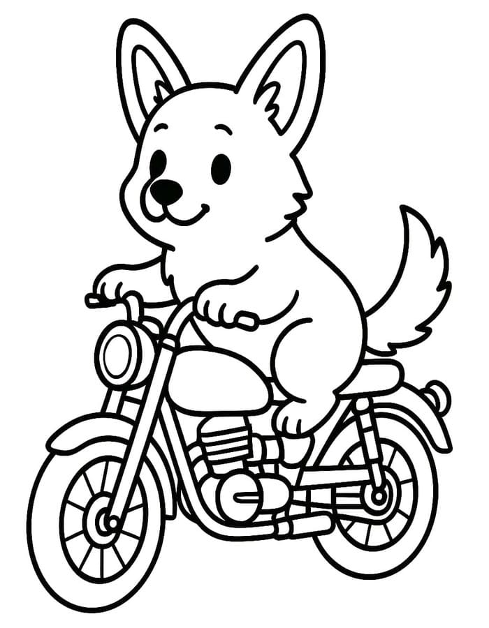 Kolorowanka Narysuj Corgi wydruku podstawowy