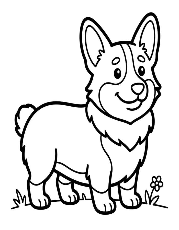 Kolorowanka Narysuj Corgi