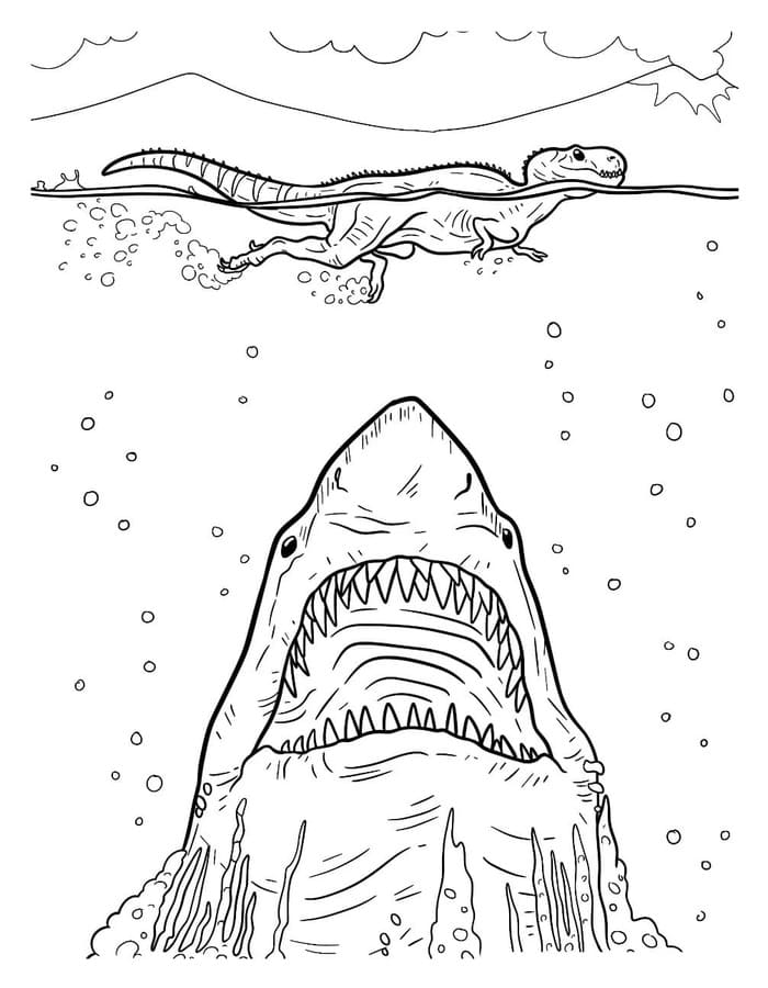 Kolorowanka Narysuj Megalodon bezpłatny łatwy