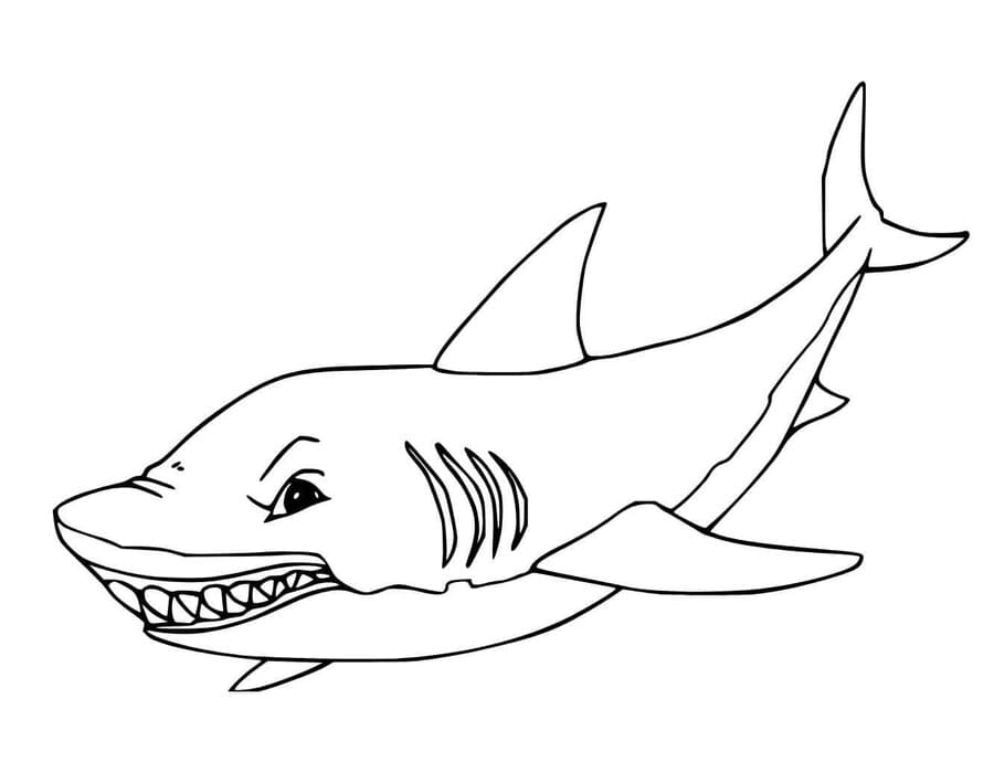 Kolorowanka Narysuj Megalodon bezpłatny prosty