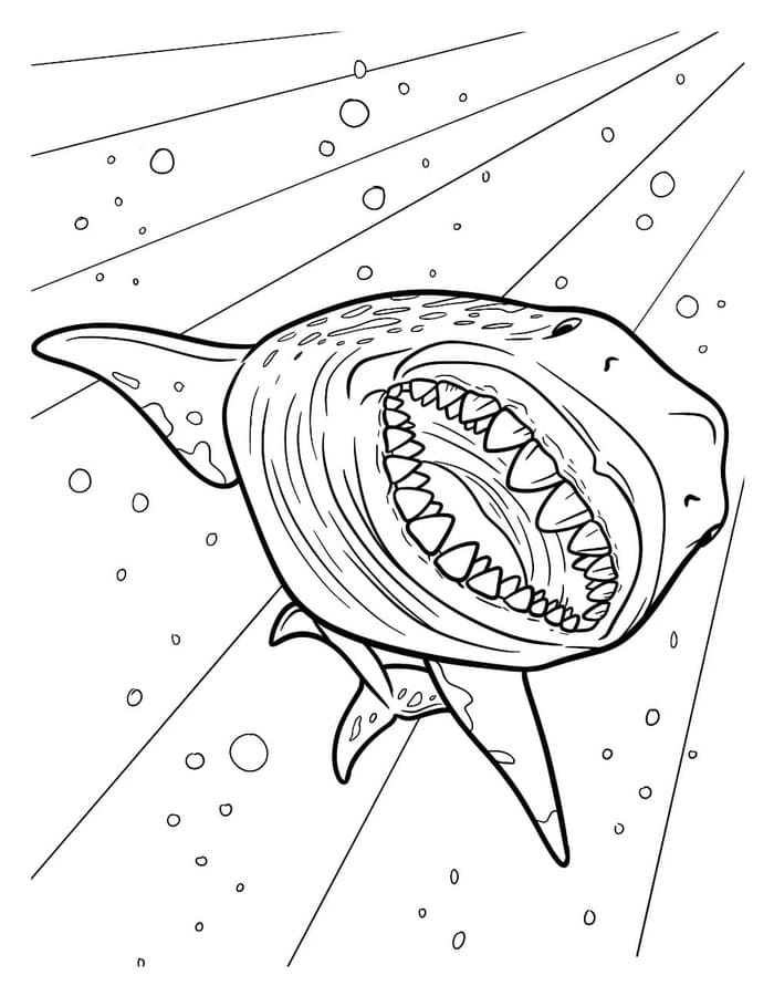 Kolorowanka Narysuj Megalodon bezpłatny wydruku łatwy