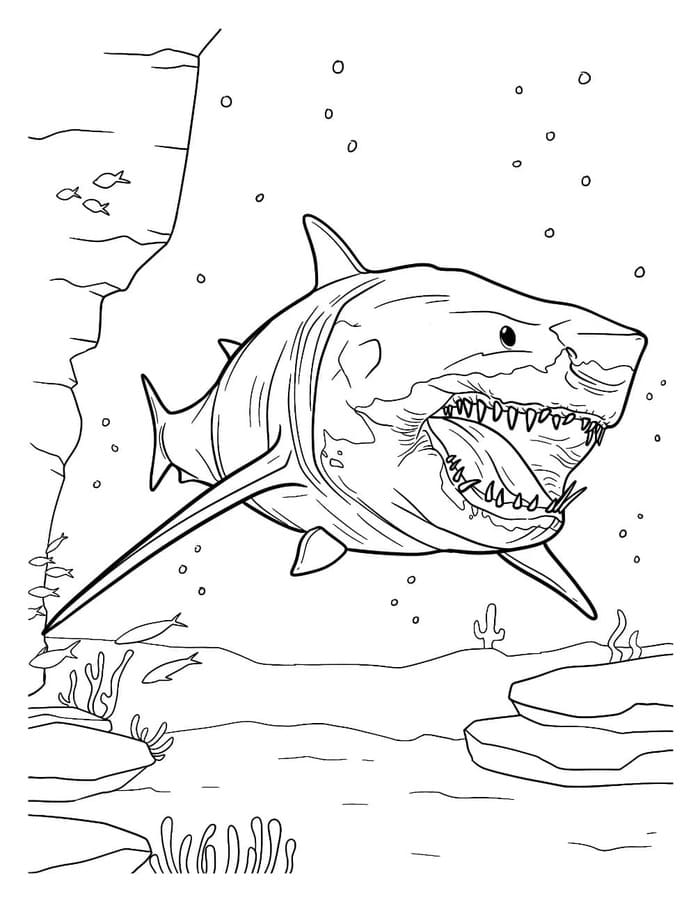 Kolorowanka Narysuj Megalodon dla dzieci