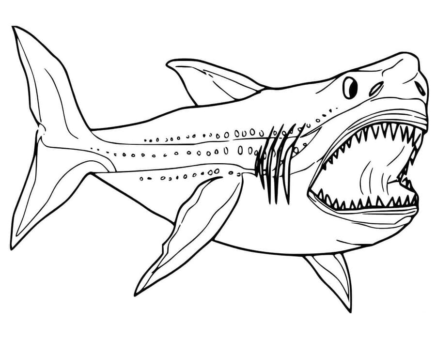 Kolorowanka Narysuj Megalodon wydruku dla dzieci