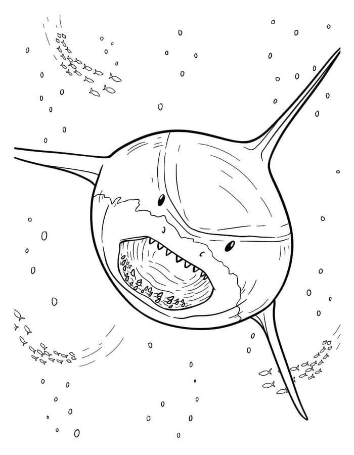 Kolorowanka Narysuj Megalodon wydruku łatwy