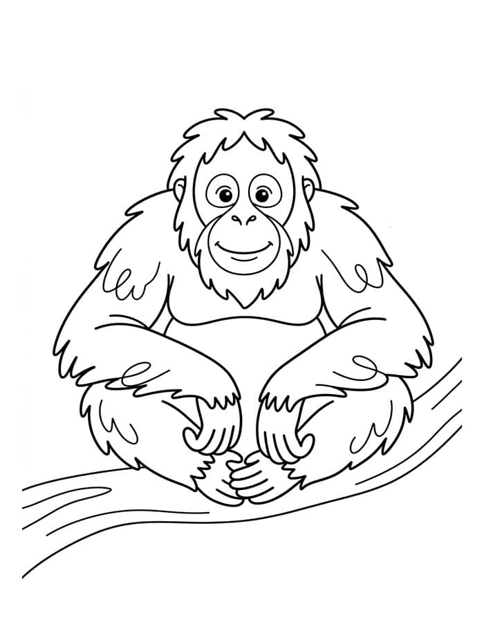 Kolorowanka Narysuj Orangutan bezpłatny wydruku prosty