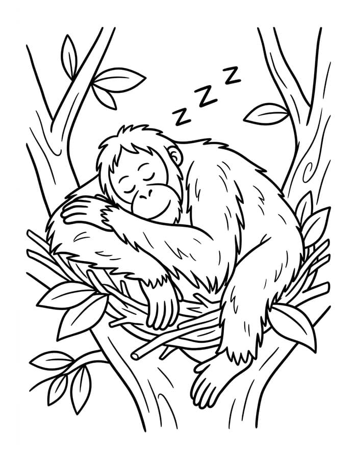 Kolorowanka Narysuj Orangutan bezpłatny wydruku