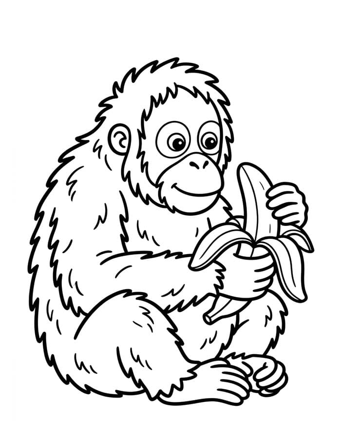 Kolorowanka Narysuj Orangutan dla dzieci