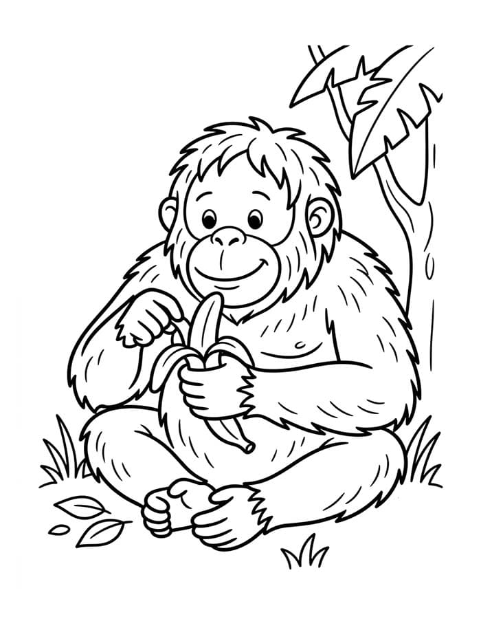 Kolorowanka Narysuj Orangutan prosty