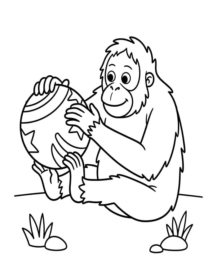 Kolorowanka Narysuj Orangutan wydruku prosty