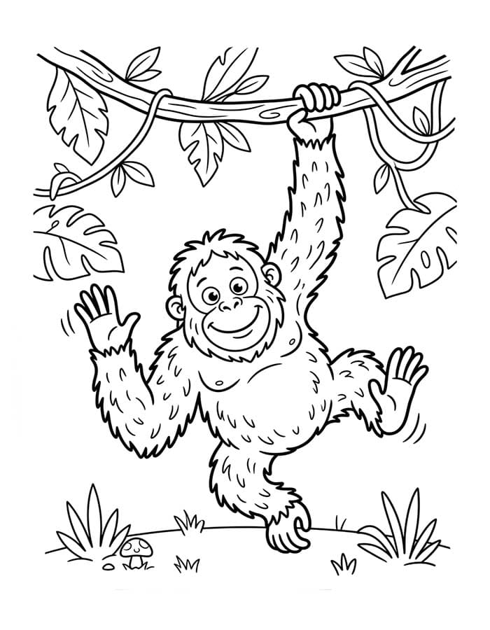 Kolorowanka Narysuj Orangutan