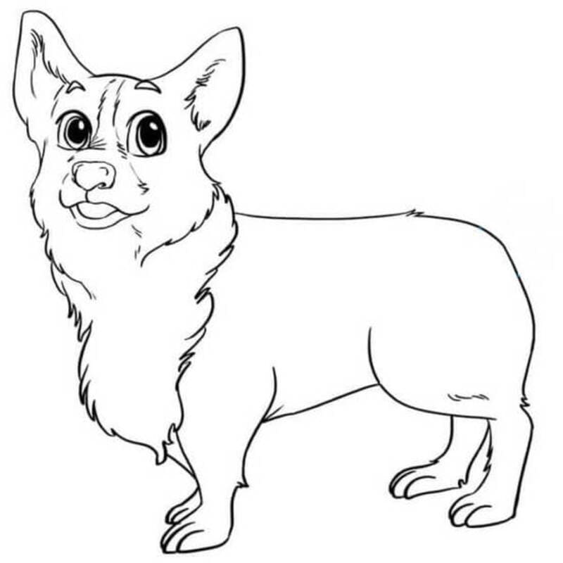 Kolorowanka Obraz Corgi