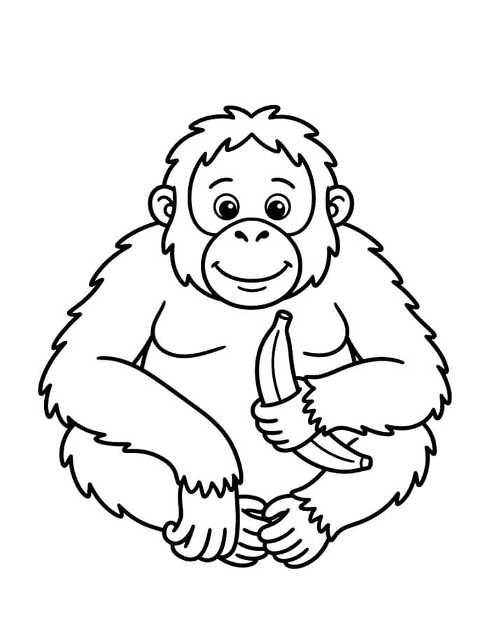 Kolorowanka Obraz Orangutan bezpłatny wydruku